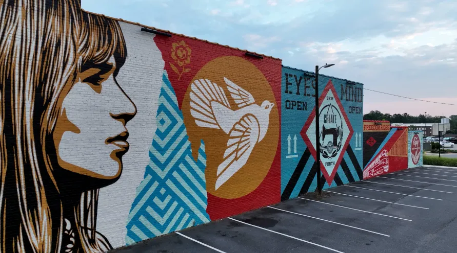 Shepard Fairey Mural as featured in SC On Display: Murals of Rock Hill